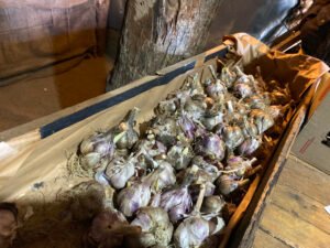 foto tierra del fuego